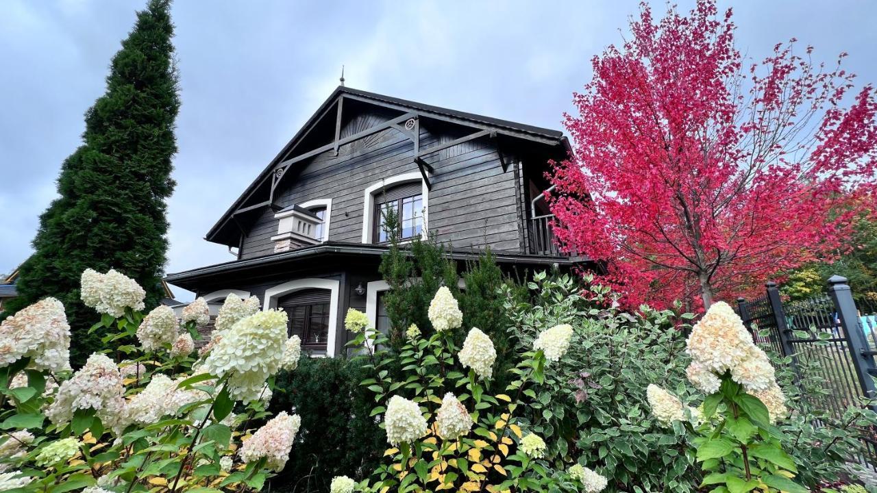 Viking Valley Suite: Garden Terrace, Garage & Wellness Access Apartment