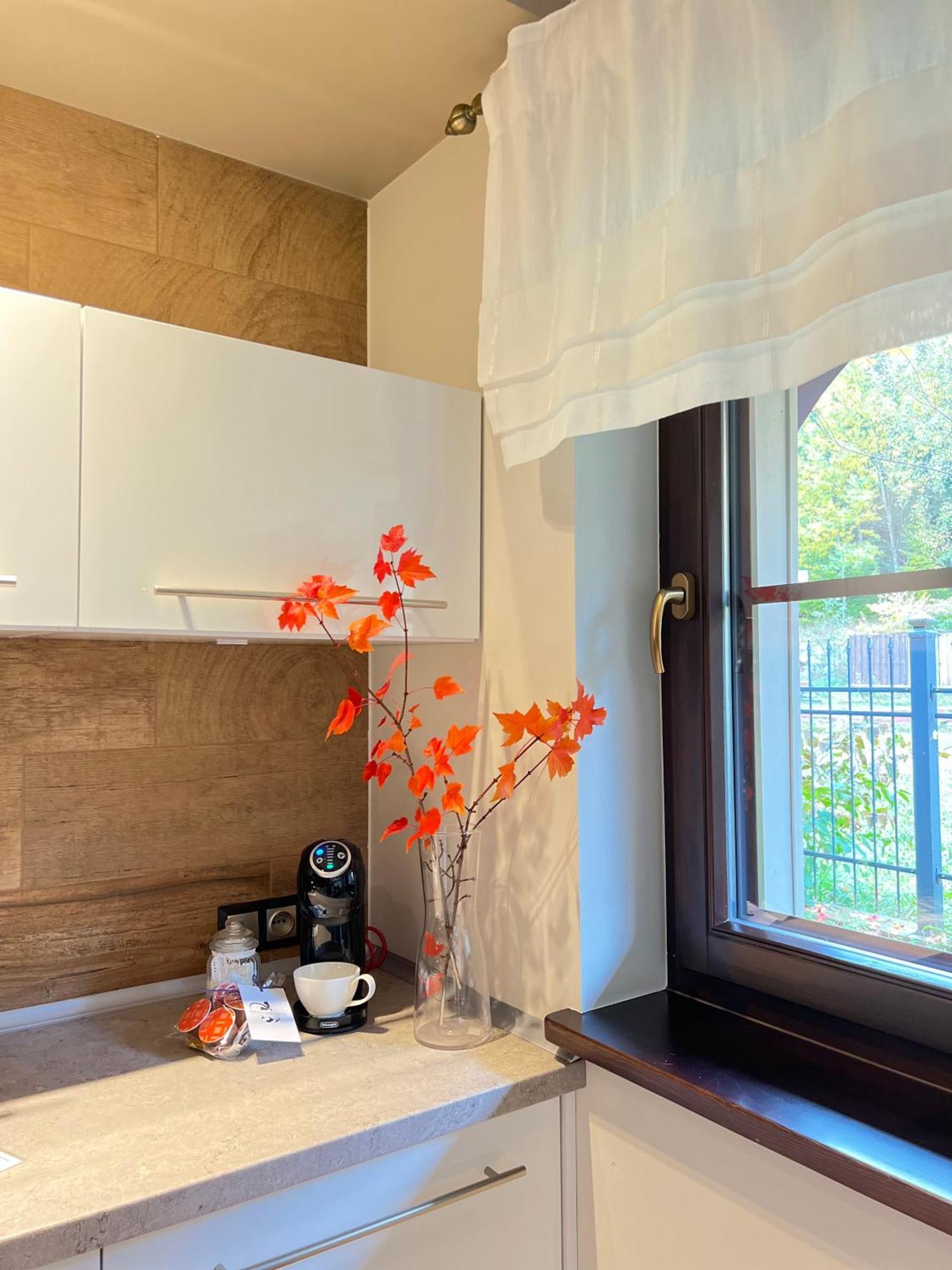 Viking Valley Suite: Garden Terrace, Garage & Wellness Access * Szklarska Poreba